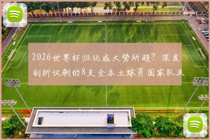 2026世界杯归化成大势所趋?深度剖析仅剩的8支全本土球员国家队及其面临的挑战