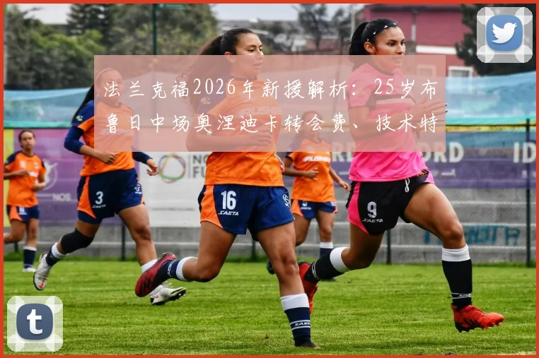 法兰克福2026年新援解析:25岁布鲁日中场奥涅迪卡转会费、技术特点与球队适配性深度探讨
