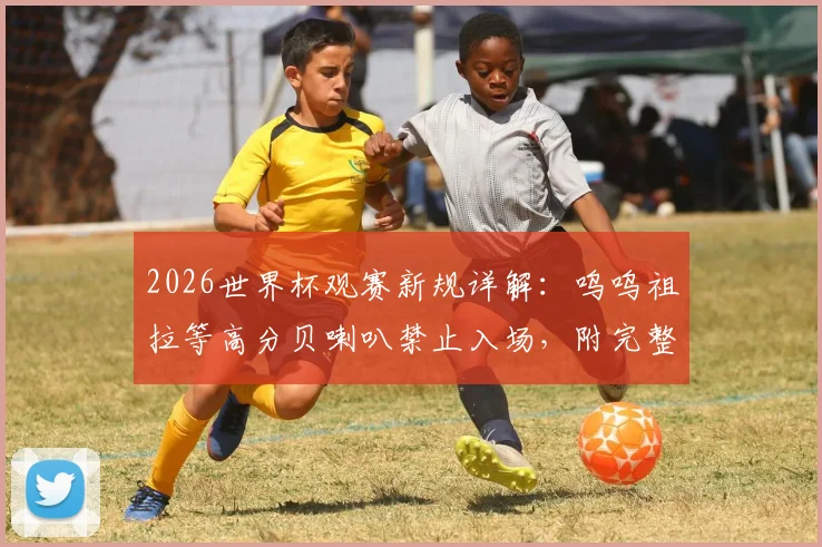 2026世界杯观赛新规详解:呜呜祖拉等高分贝喇叭禁止入场,附完整禁带物品清单与噪音管控原因